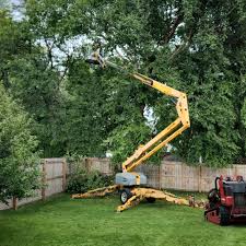 Best Commercial Tree Services  in Culver, OR