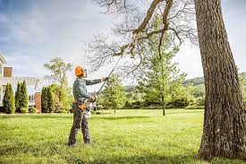 Best Tree Disease Treatment  in Culver, OR