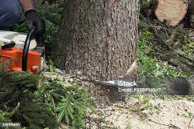 Best Storm Damage Tree Cleanup  in Culver, OR