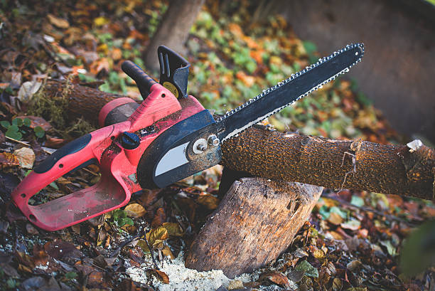 Reliable Culver, OR Tree Care Solutions